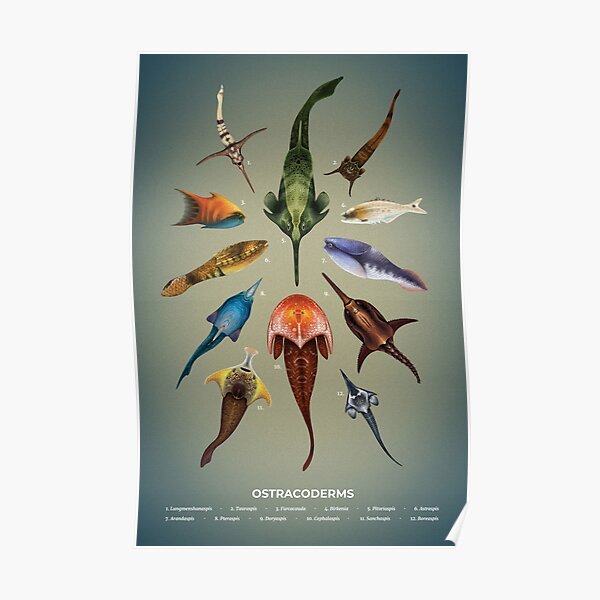 Ostracoderms Plate Poster