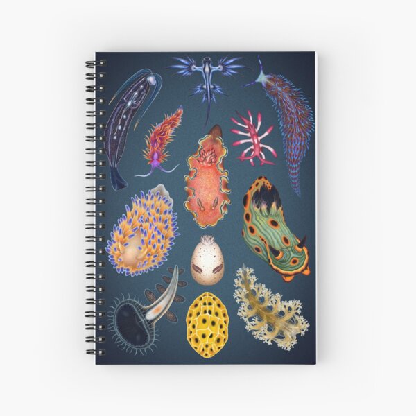 Nudibranchs Plate Spiral Notebook