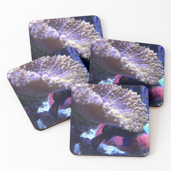 Item preview, Sea plant  designed and sold by Kiransingri.