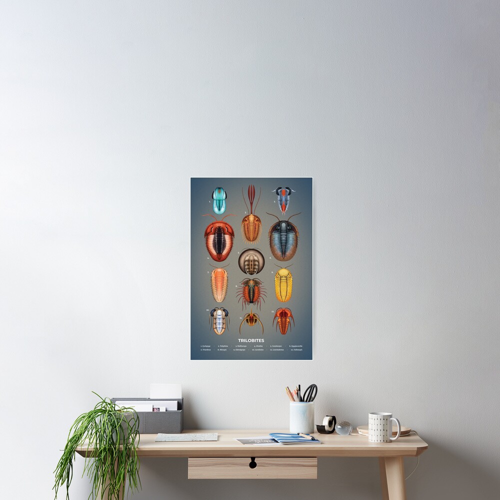 Trilobites Plate Poster