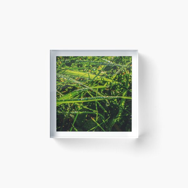 Item preview, Morning dew drops on the grass designed and sold by bladeuktm.