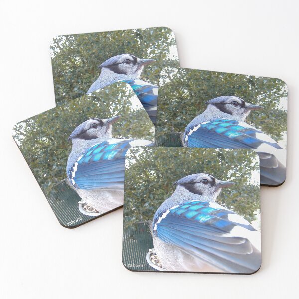 Item preview, Blue Jay designed and sold by Maureen Zaharie.