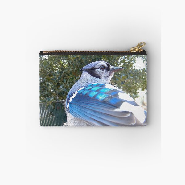 Item preview, Blue Jay designed and sold by Maureen Zaharie.