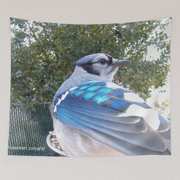 Item preview, Blue Jay designed and sold by Maureen Zaharie.