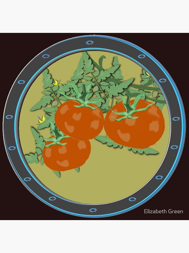 "Heirloom Tomato Vine" Poster for Sale by GreenElizabeth Redbubble