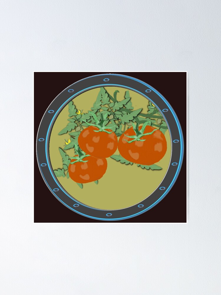 "Heirloom Tomato Vine" Poster for Sale by GreenElizabeth Redbubble