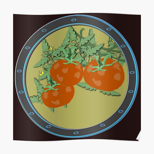 "Heirloom Tomato Vine" Poster for Sale by GreenElizabeth Redbubble