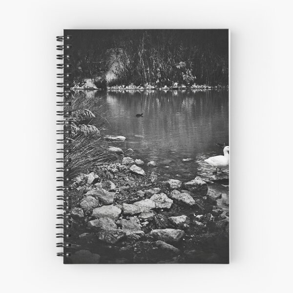 Item preview, Duck in the Park, black and white square designed and sold by Kostas Pavlis.