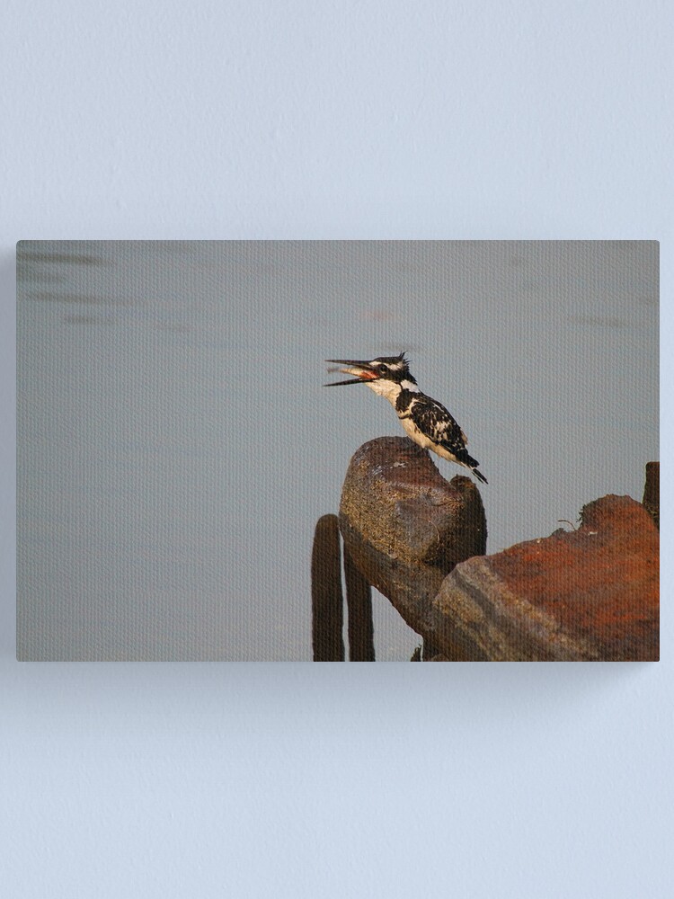 Alternate view of I didn't got a knife.... Canvas Print