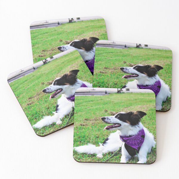 Item preview, Skipper in her Purple Spider Bandana designed and sold by banditandkoko.