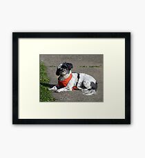 Say,WHAT? Framed Print