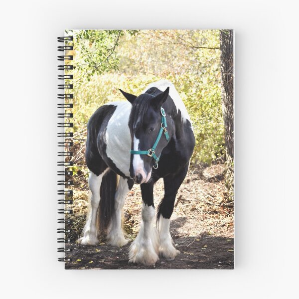 Item preview, Drum horse designed and sold by theartsyeq.