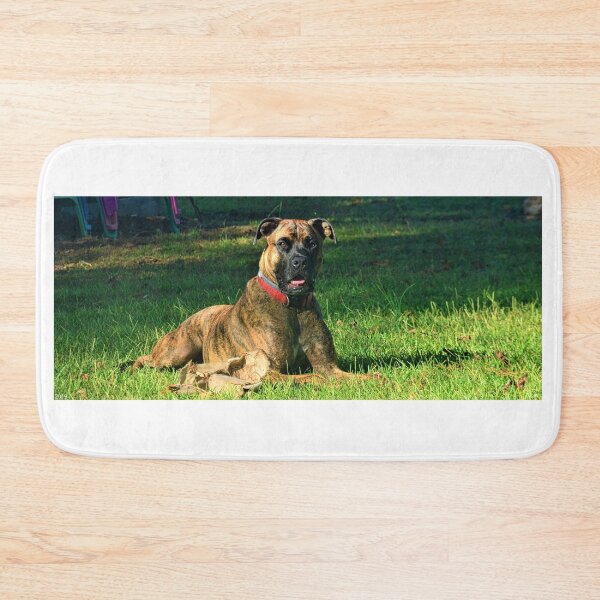 Item preview, Brindle Boxer designed and sold by LisaWootenPhoto.