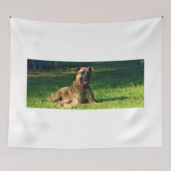Item preview, Brindle Boxer designed and sold by LisaWootenPhoto.