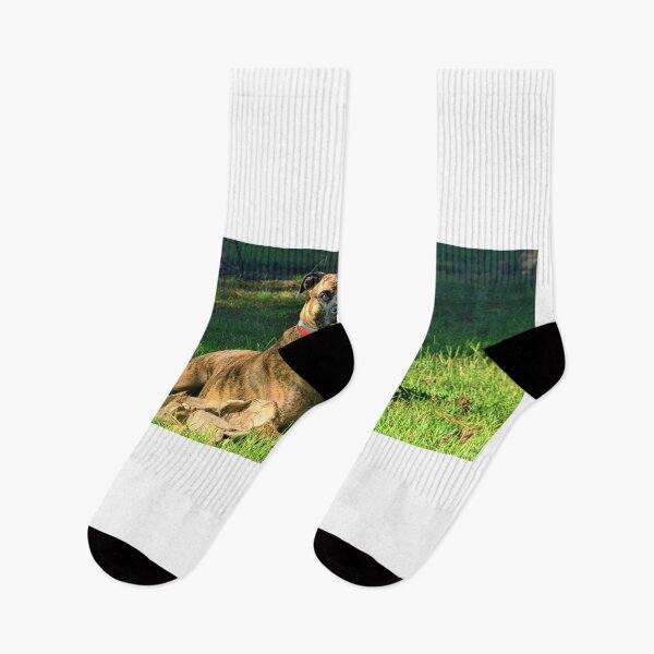 Item preview, Brindle Boxer designed and sold by LisaWootenPhoto.