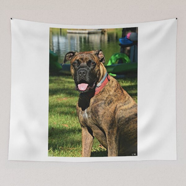 Item preview, Beautiful Brindle designed and sold by LisaWootenPhoto.
