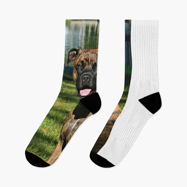 Item preview, Beautiful Brindle designed and sold by LisaWootenPhoto.