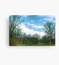 Pasture Canvas Print