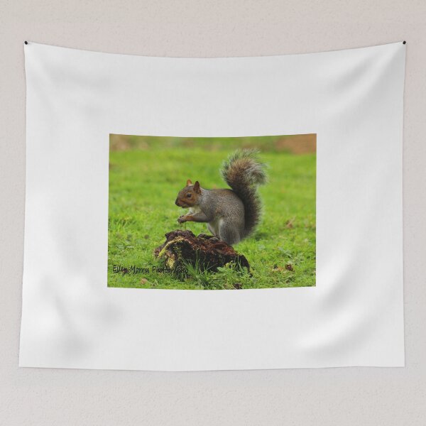 Item preview, Grey Squirrel designed and sold by ellenmpics.