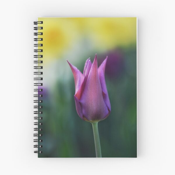 Item preview, Macro de tulipán rosa con fondo borroso designed and sold by macroviewpoint.
