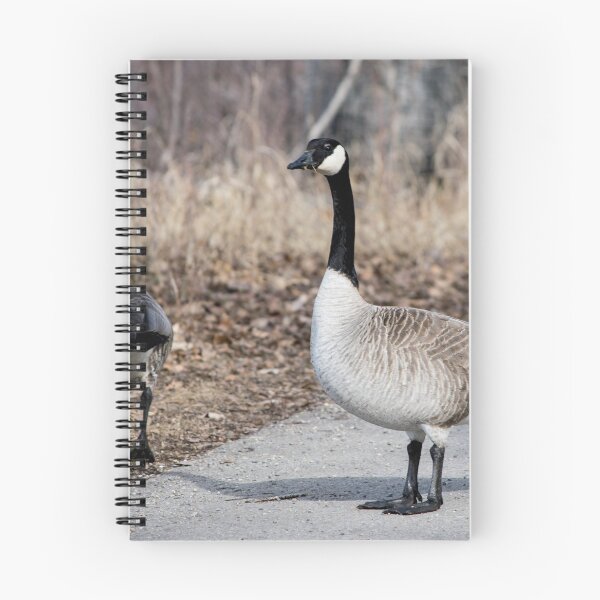 Item preview, Mating season has arrived. designed and sold by CanadianWild418.