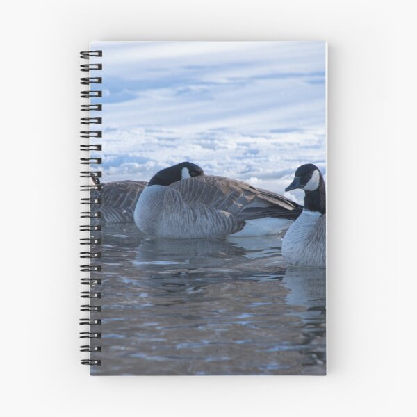 Item preview, Geese enjoying the sunny day. designed and sold by CanadianWild418.