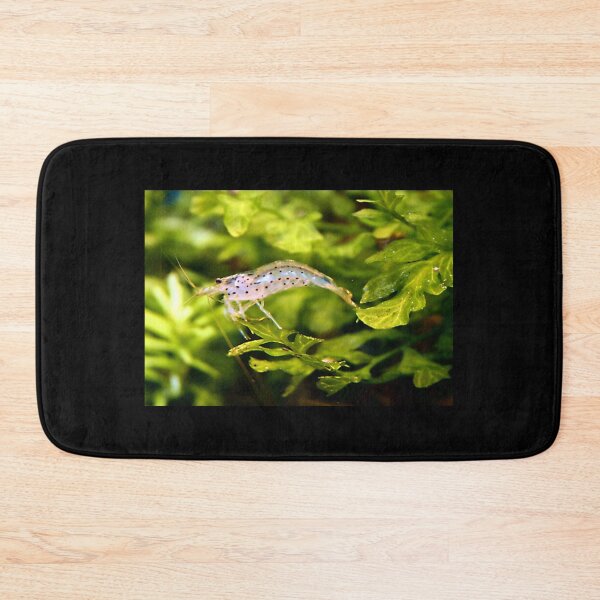 Item preview, Bolbitis heudelotii - Aquarium Shrimp designed and sold by killies.
