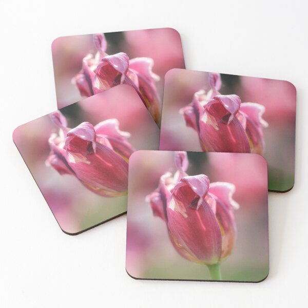 Item preview, Dying pink tulip flower macro with bokeh designed and sold by macroviewpoint.