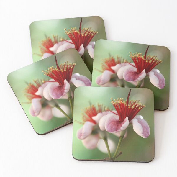 Item preview, Feijoa designed and sold by NakedSunday.
