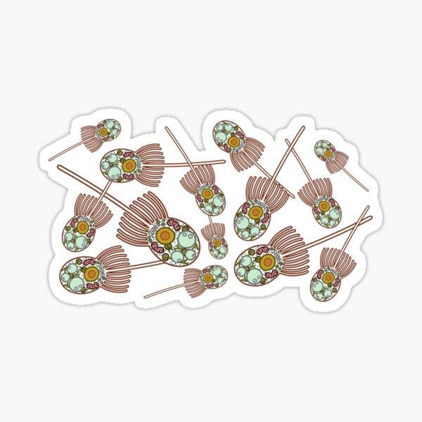 Choanoflagellate Anatomy Print Sticker