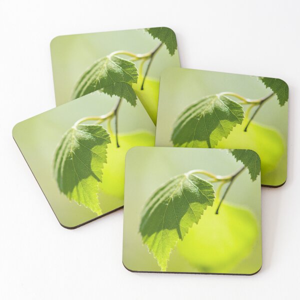 Item preview, Green birch leaves against the Sun designed and sold by macroviewpoint.