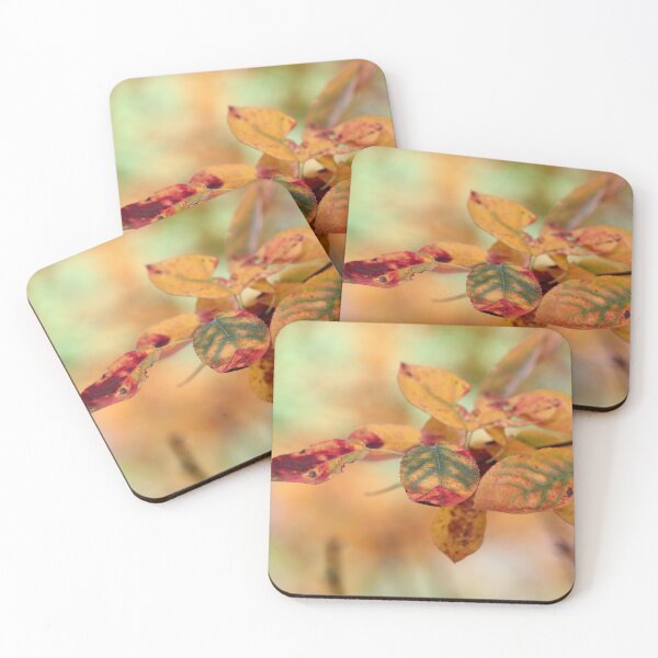 Item preview, Autumn Paintbrush designed and sold by cuprum.