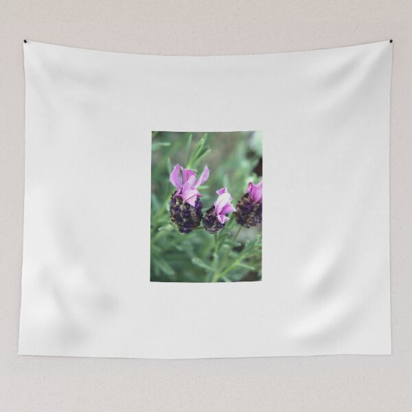 Item preview, Lavender designed and sold by NakedSunday.