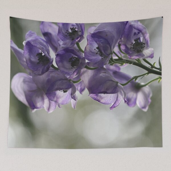 Item preview, A Lighter Shade of Monkshood designed and sold by cuprum.
