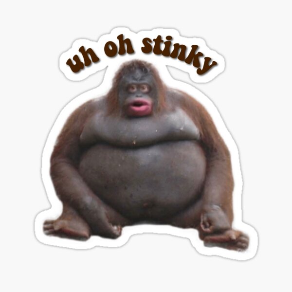 Uh Oh Stinky Le Monke | Photographic Print