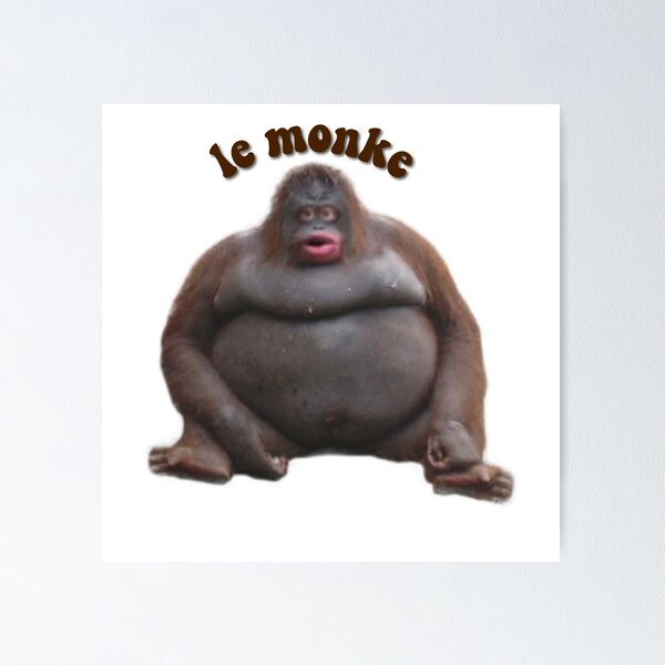 Uh Oh Stinky Le Monke | Photographic Print