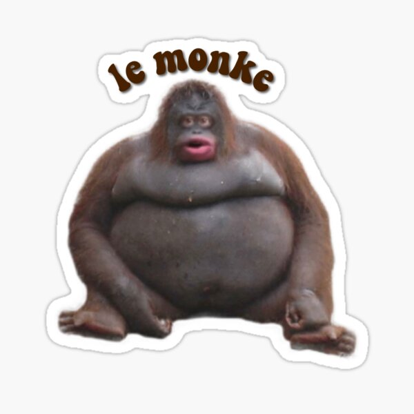 monke meme music｜TikTok Search