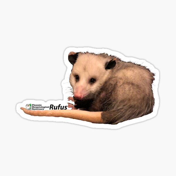 Rufus the Opossum Sticker