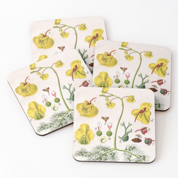 Item preview, Utricularia vulgaris - Plants designed and sold by killies.
