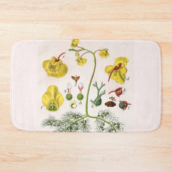 Item preview, Utricularia vulgaris - Plants designed and sold by killies.