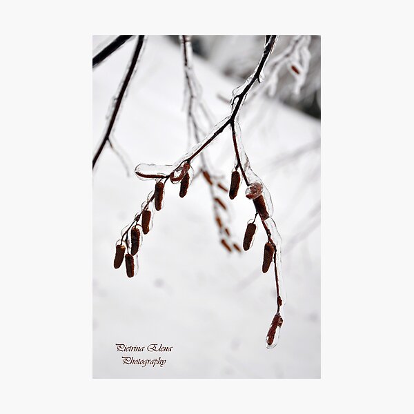 Item preview, Hang in there.........winter is almost over! designed and sold by Pietrina Elena Photography.