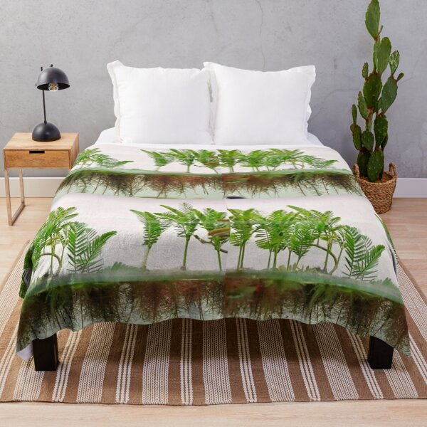 Item preview, Mimosa Amphibium - Aquatic Plants designed and sold by killies.