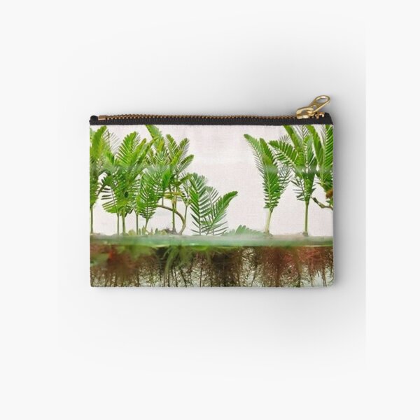 Item preview, Mimosa Amphibium - Aquatic Plants designed and sold by killies.