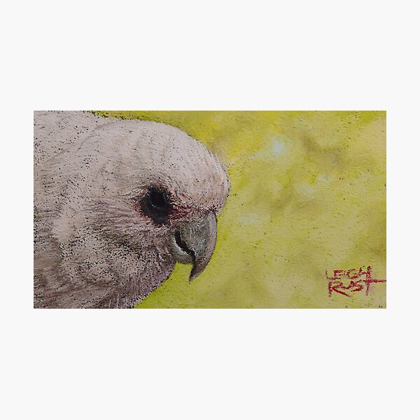 Item preview, Corella designed and sold by Leigh Rust.