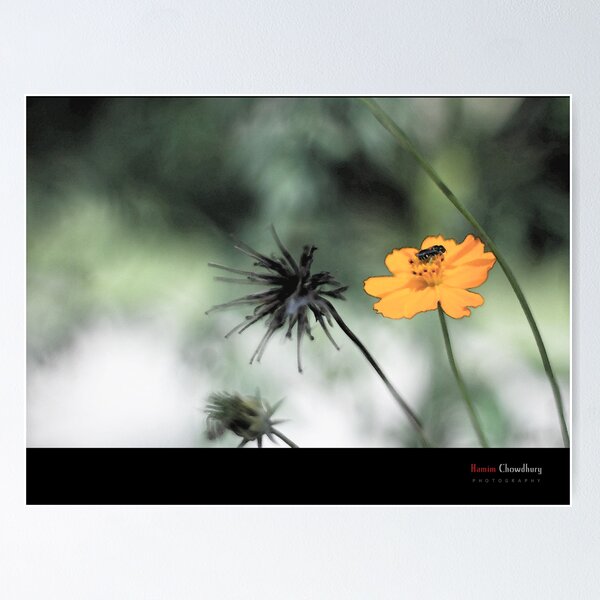 Item preview, Love Flower and Nature designed and sold by HamimCHOWDHURY.