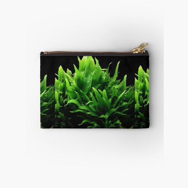 Item preview, Microsorum Pteropus - Aquarium Plant designed and sold by killies.