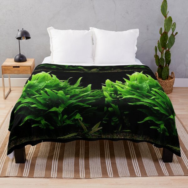 Item preview, Microsorum Pteropus - Aquarium Plant designed and sold by killies.