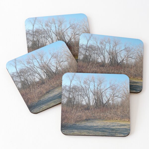 Item preview, The Path Taken designed and sold by Scott and Mary Schneider art_photography.