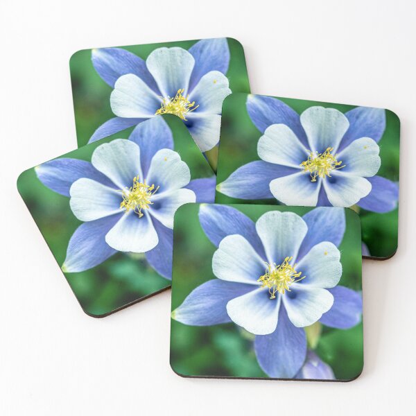 Item preview, Colorado Columbine // States Flower Close up Purplish Blue Petals White and Yellow Accents designed and sold by catbyrdcolorado.