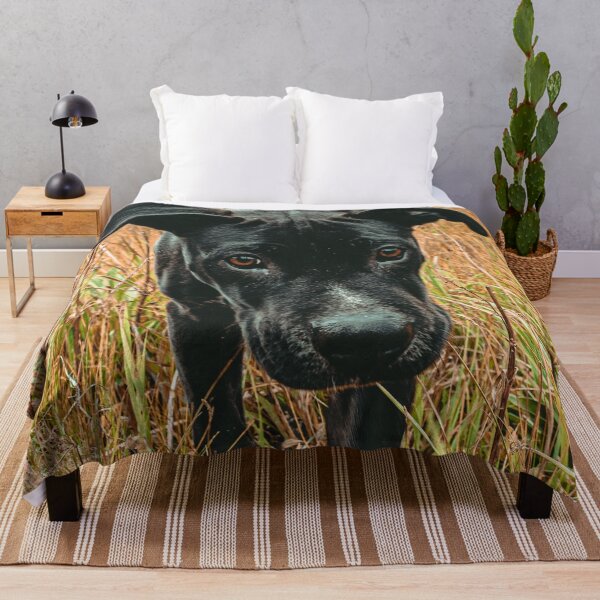 Item preview, Doggy in the Field // Rust Filter Hiking by Rustic Abandoned Log Cabin Summit Colorado designed and sold by catbyrdcolorado.